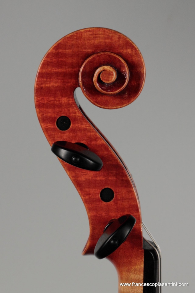 vista destra del riccio del violino realizzato da Francesco Piasentini